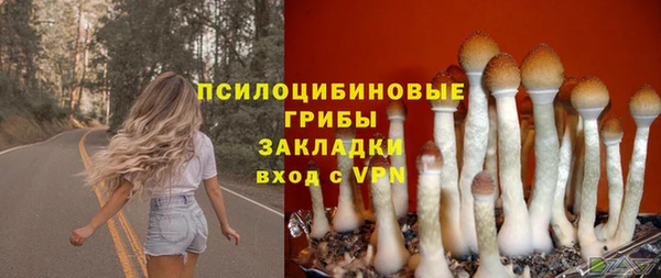 героин Алексин
